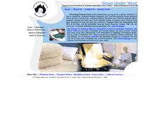Tablet Screenshot of nopressuresores.com